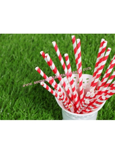 Paper Straw Stripe