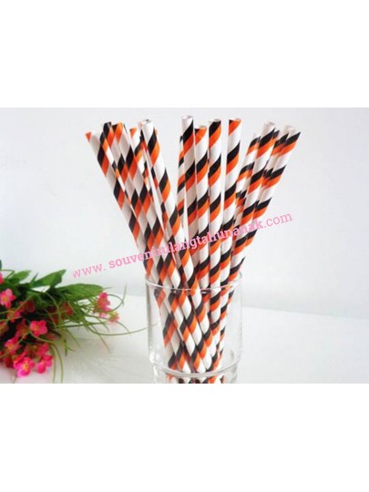 Paper Straw Stripe 2
